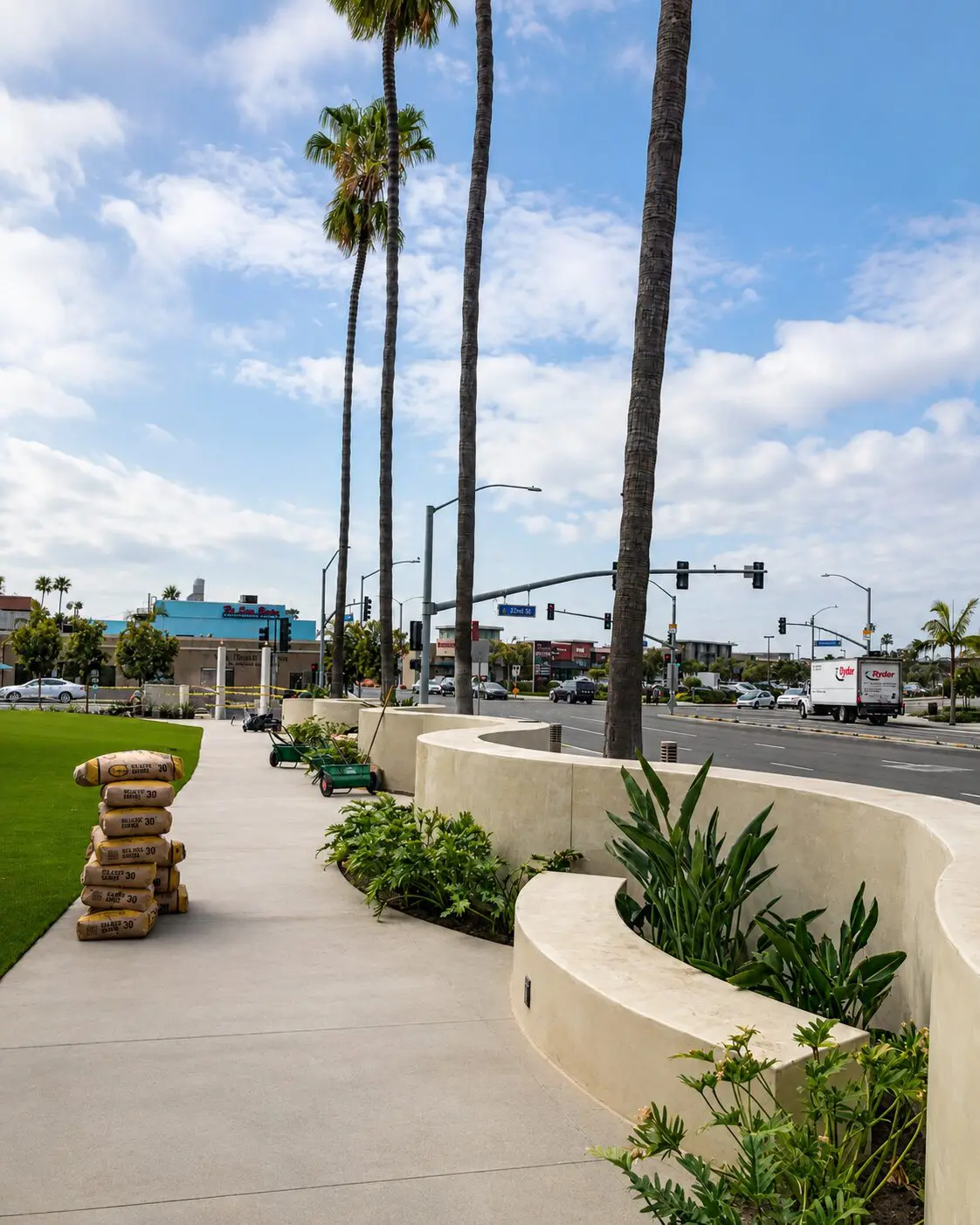 Sidewalk with plants and palm trees