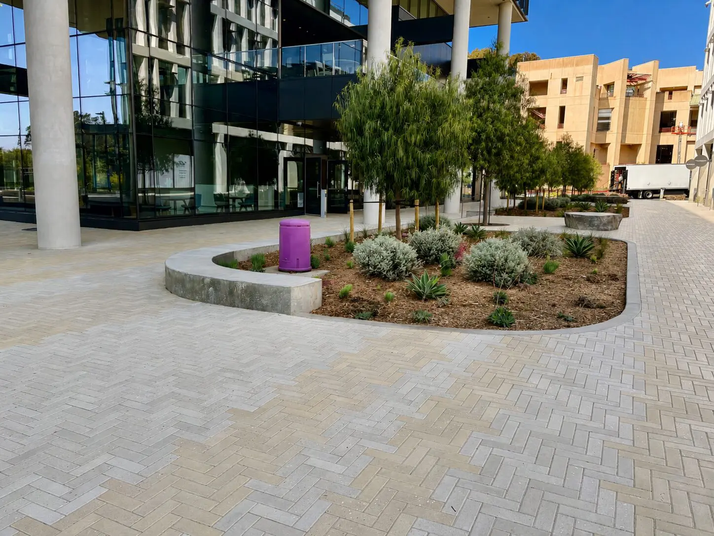 Urban walkway with trees and shrubs